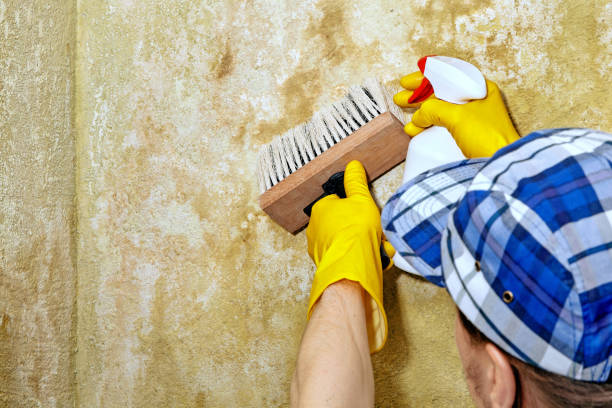 Best Indoor Air Quality Assessment  in USA